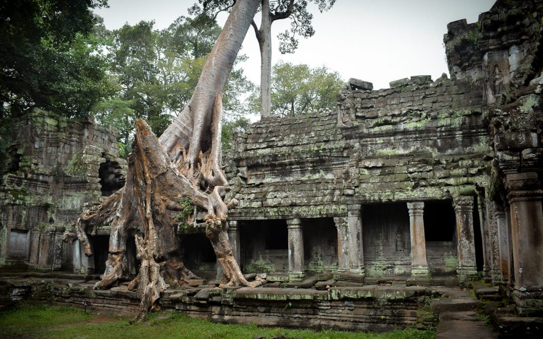 Which temples to visit in Angkor, Cambodia?